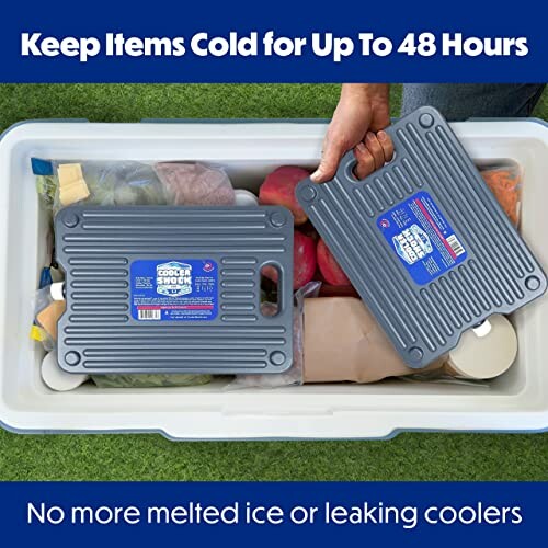 Cooler Shock Ice Packs