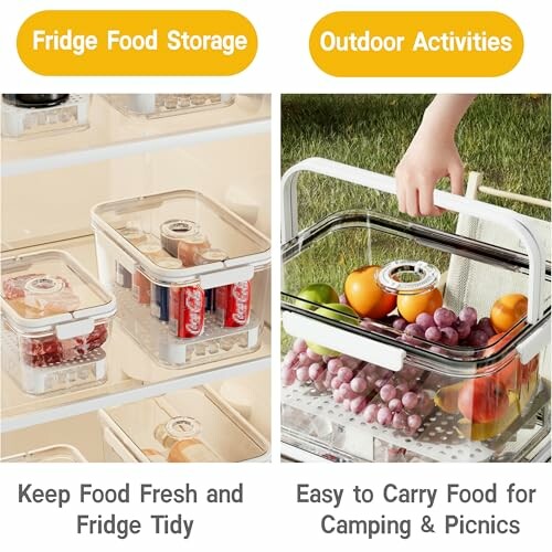 HausArtX 2 Pack Food Storage Container